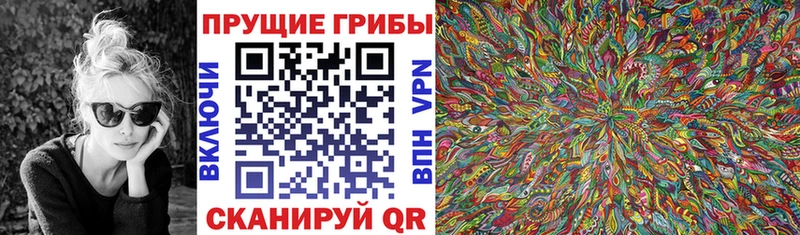 blacksprut   Мценск  Псилоцибиновые грибы Cubensis  как найти закладки 